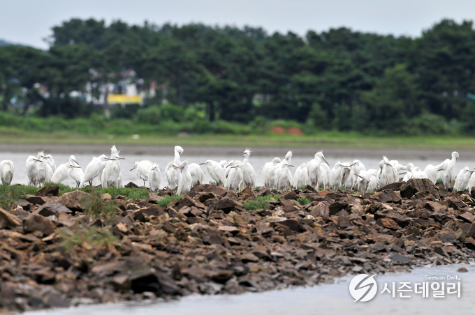 안산시청 제공