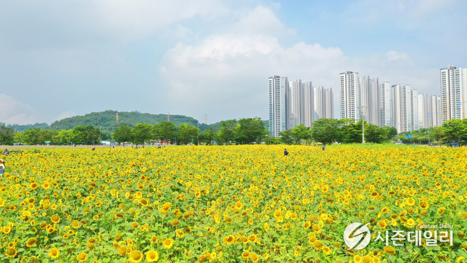 안산시청 제공