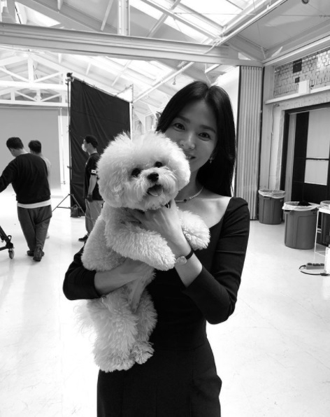 사진출처=송혜교인스타그램