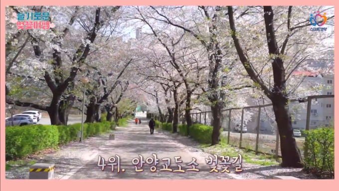 안양시 제공