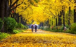 사진출처=서울시(송파구 위례성길)