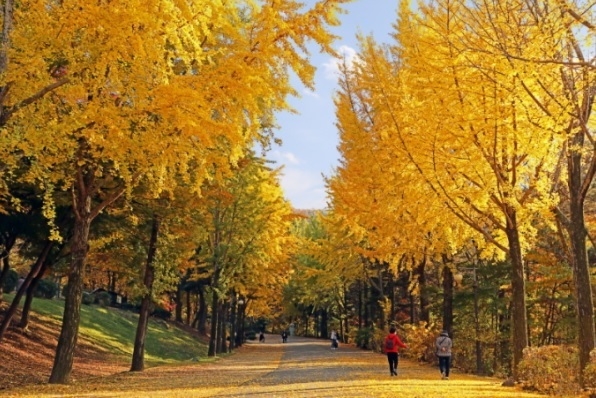 사진출처=서울대공원