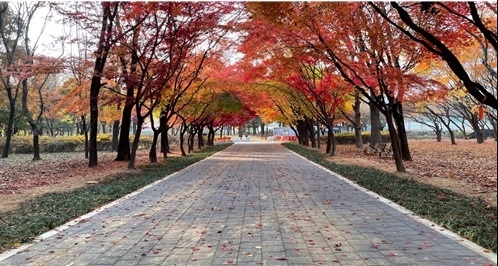 사진출처=서울시