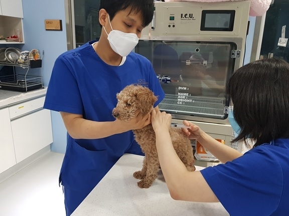 사진출처=서울시