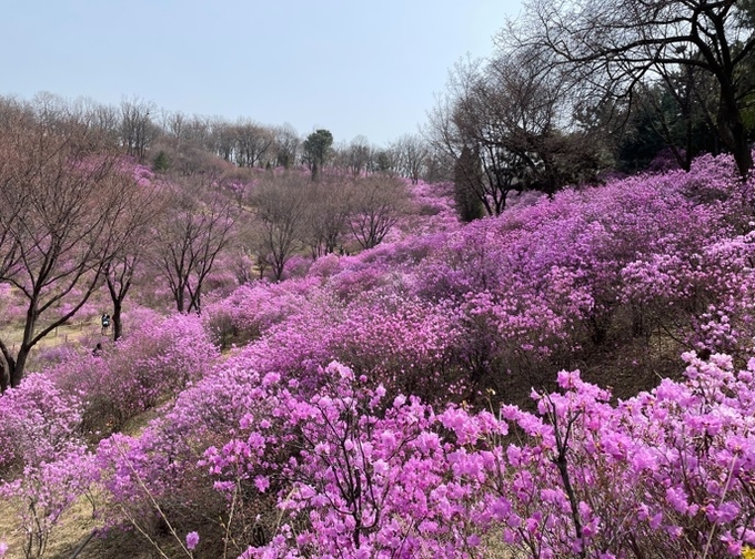 사진출처=경기도